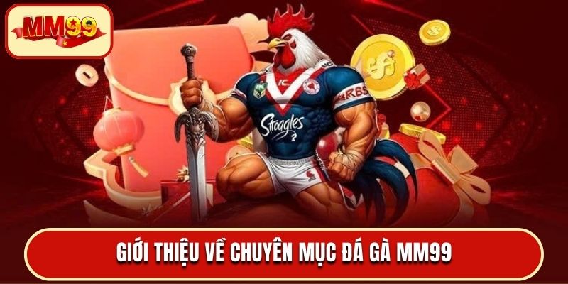 Giới thiệu về chuyên mục đá gà MM99