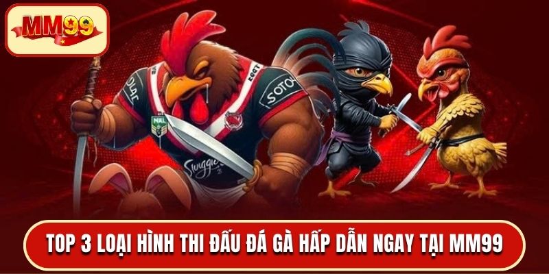 Top 3 loại hình thi đấu đá gà hấp dẫn ngay tại MM99