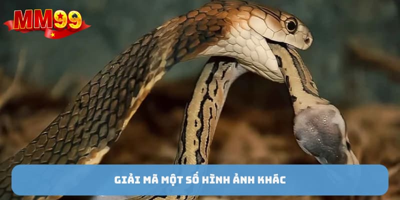 Giải mã một số hình ảnh khác