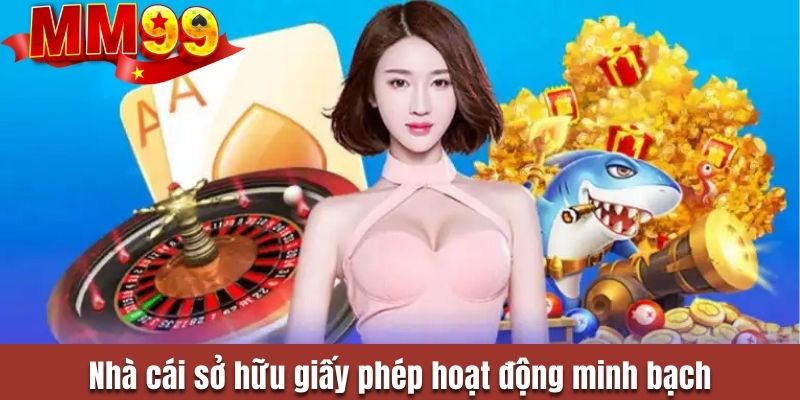 Giới thiệu MM99 về các giấy phép hiện có